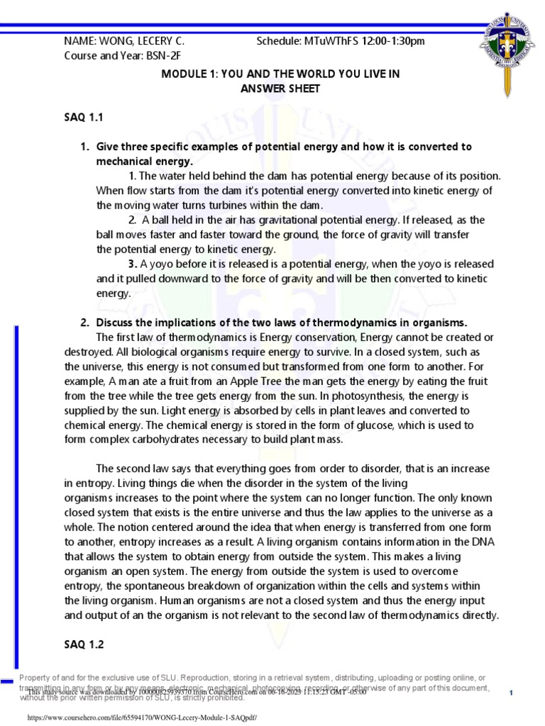 Saq PDF | PDF | Potential Energy | Coral Reef