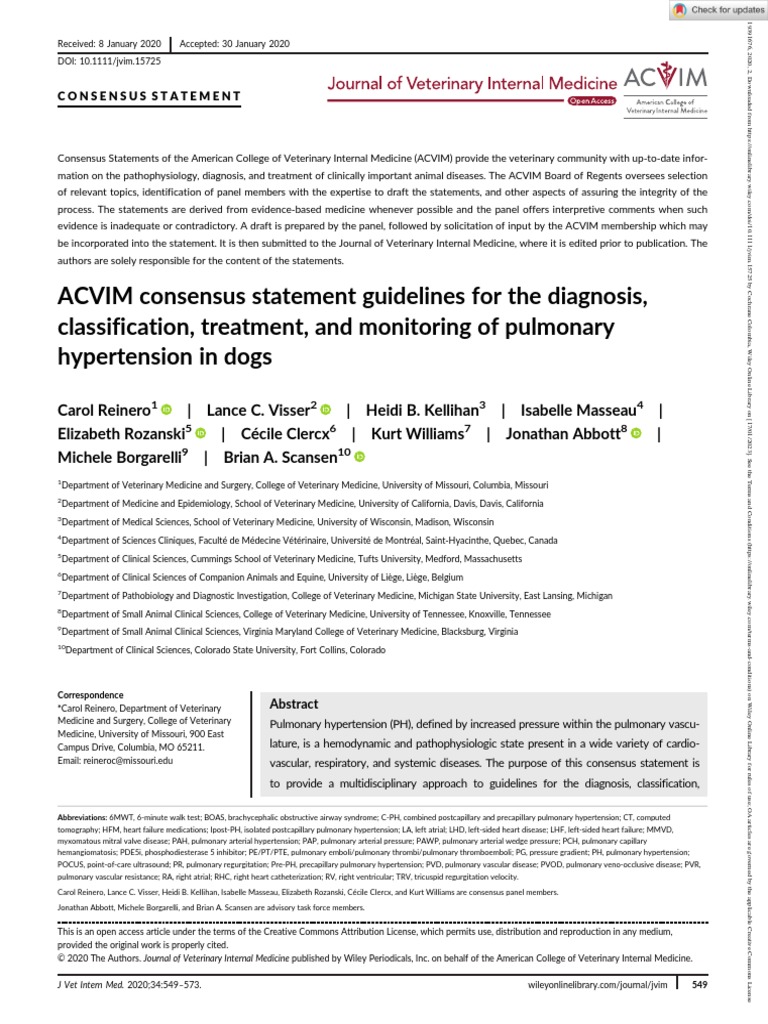 ACVIM Consensus Statement Guidelines For The Diagnosis, Classification