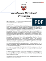 Modelo Resolucion Directoral