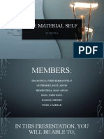 Material Self