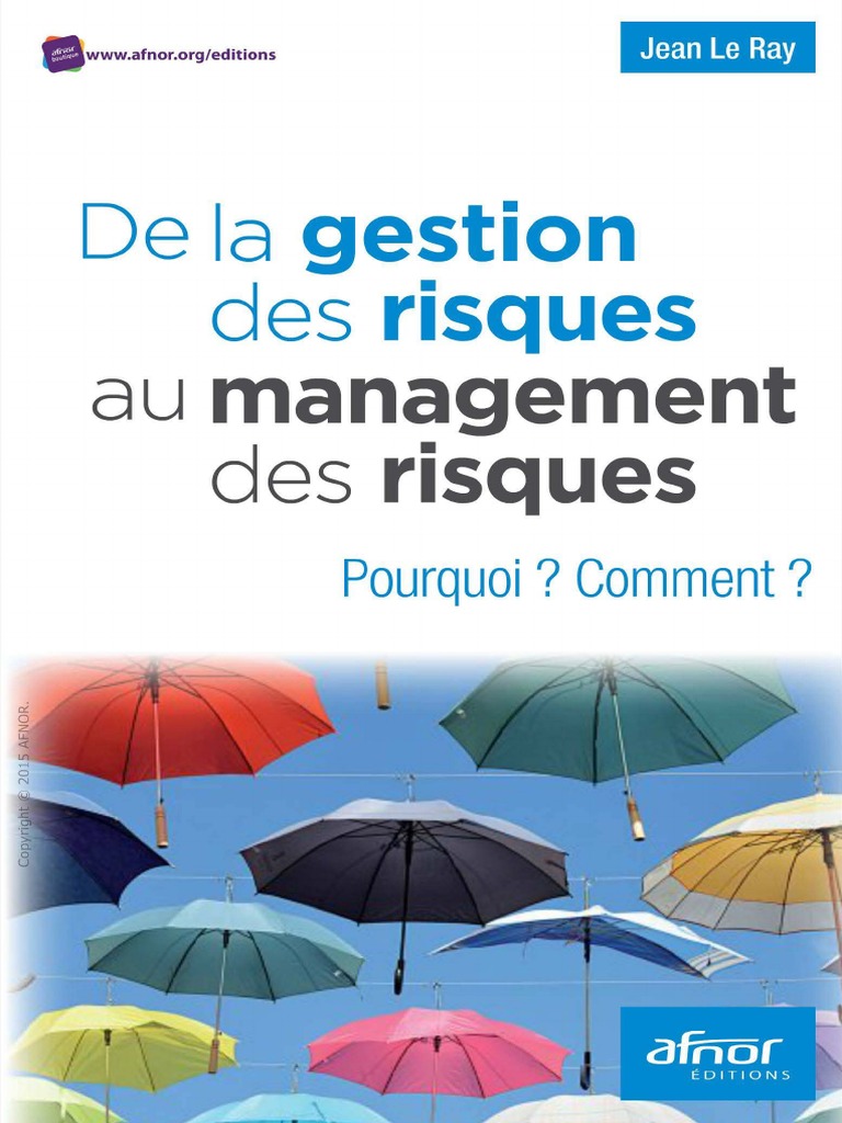 De La Gestion Du Risque Au Management Des Risques - Afnor | PDF