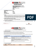 Programa Analitico Computacion d1 Mañana A