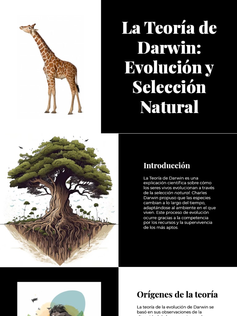 Wepik La Teoria de Darwin Evolucion y Seleccion Natural ...