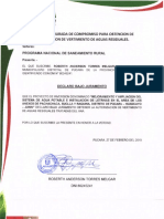 17.13.01 DJ Compromiso Obtencion de Autorización Vertimiento