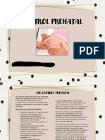 Control Prenatal