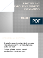 Metabolisme Protein