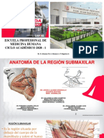 Región Submaxilar 2020-1 PDF