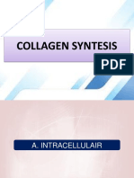 Collagen Syntesis DR Teguh 05072023