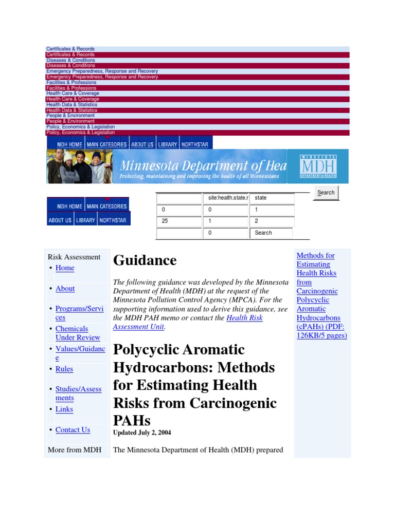 Guidance: Risk Assessment - More From MDH The Minnesota Department of ...
