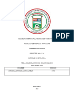 Informe Ecologia - Dani