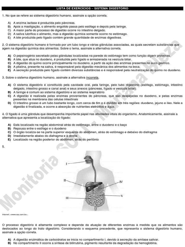 Exercícios sobre o Sistema Digestório | PDF | Sistema digestivo humano ...