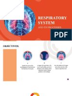 Day 2 - Respiratory System