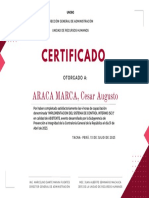 Certificado: ARACA MARCA, Cesar Augusto