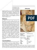 Gato Persa - Wikipedia, La Enciclopedia Libre