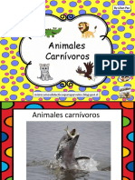 Clasificación Animales Carnívoros