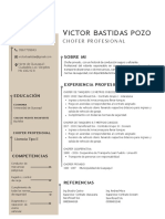 Curriculum Vitae Victor Bastidas - Postulante Chofer Profesional-1