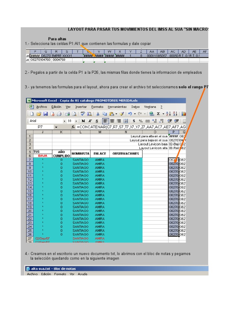 Layout IMSS para carga SUA sin macros | PDF | Informática y tecnología ...