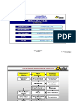 Metas Analiticas