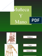 03 - Muñeca y Mano