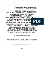 Informe Preliminar Pasco Cambio Director