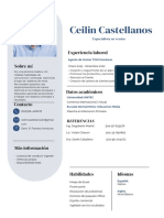 Ceilin Castellanos CV 2023