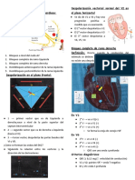 EKG Patológico