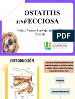 Prostatitis Infecciosa Principito