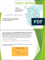 Presentazione Standard