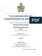 Proceso Del Concentrado de La Manzana-Informe