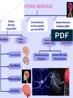 Bases Biológicas 