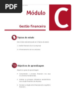 13.Gest__o_financeira
