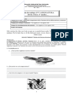 Actividad Remota N°5 - Bio - 2°m