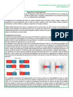 Magnetismo Teoria