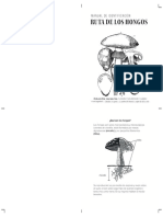 Manual Hongos Imprimir PDF