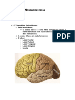 Resumo Neuroanatomia