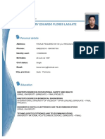 Curriculum Vitae Henrry Flores