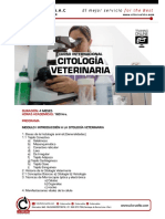 Programa Citologia Veterinaria