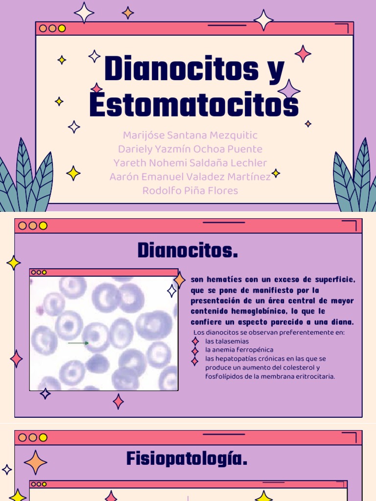 dianocitos-y-estomatocitos-pdf-gl-bulo-rojo-anemia