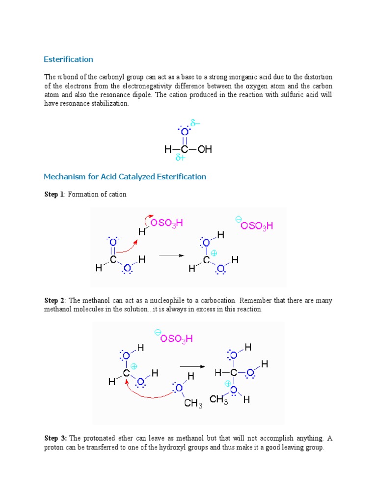Mechanisms of Esterification Reactions | PDF | Chemistry | Organic ...