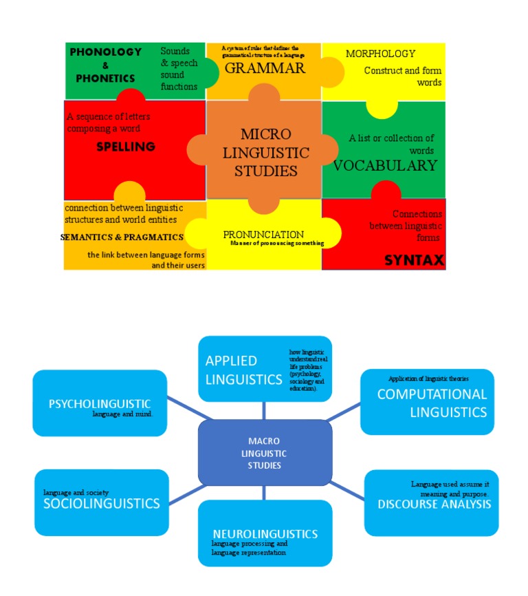 Micro and Macro Linguistic Studies | PDF | Linguistics | Word
