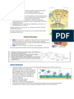 Tráfico Vesicular