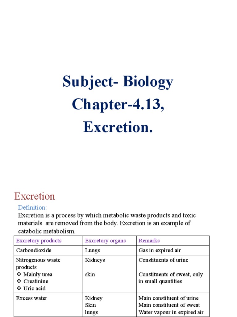 Must Need Excretion Notes Pdf Kidney Excretion