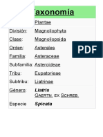 Clasificación Taxonomica