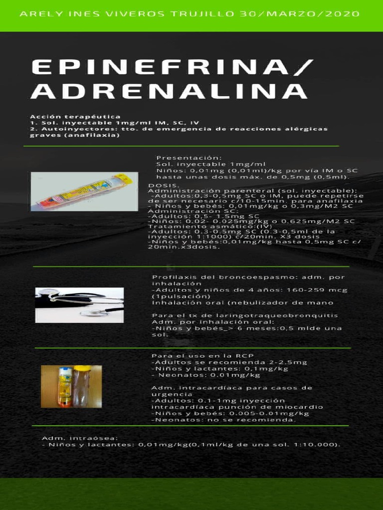 Infografía Epinefrina -Adrenalina | PDF