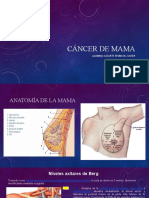 Cáncer de mama