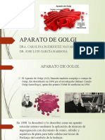 Documento PDF