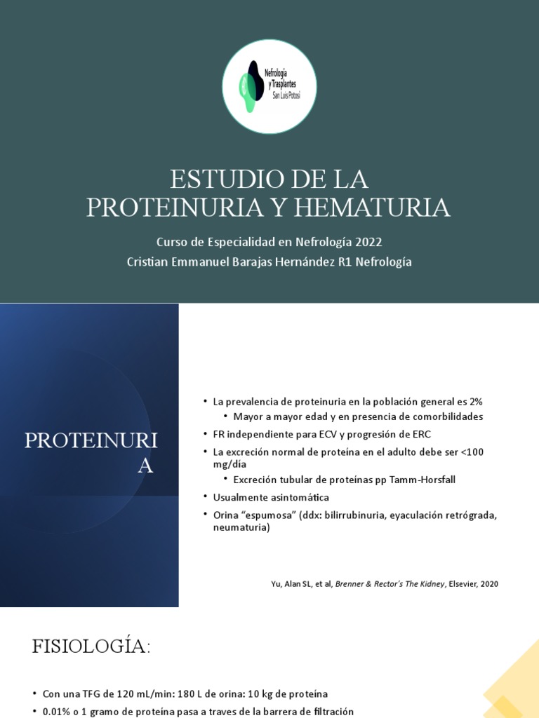 Proteinuria y Hematuria en Nefrología | PDF | Anatomia animal ...