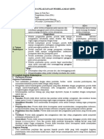 RPP Human Respiration System