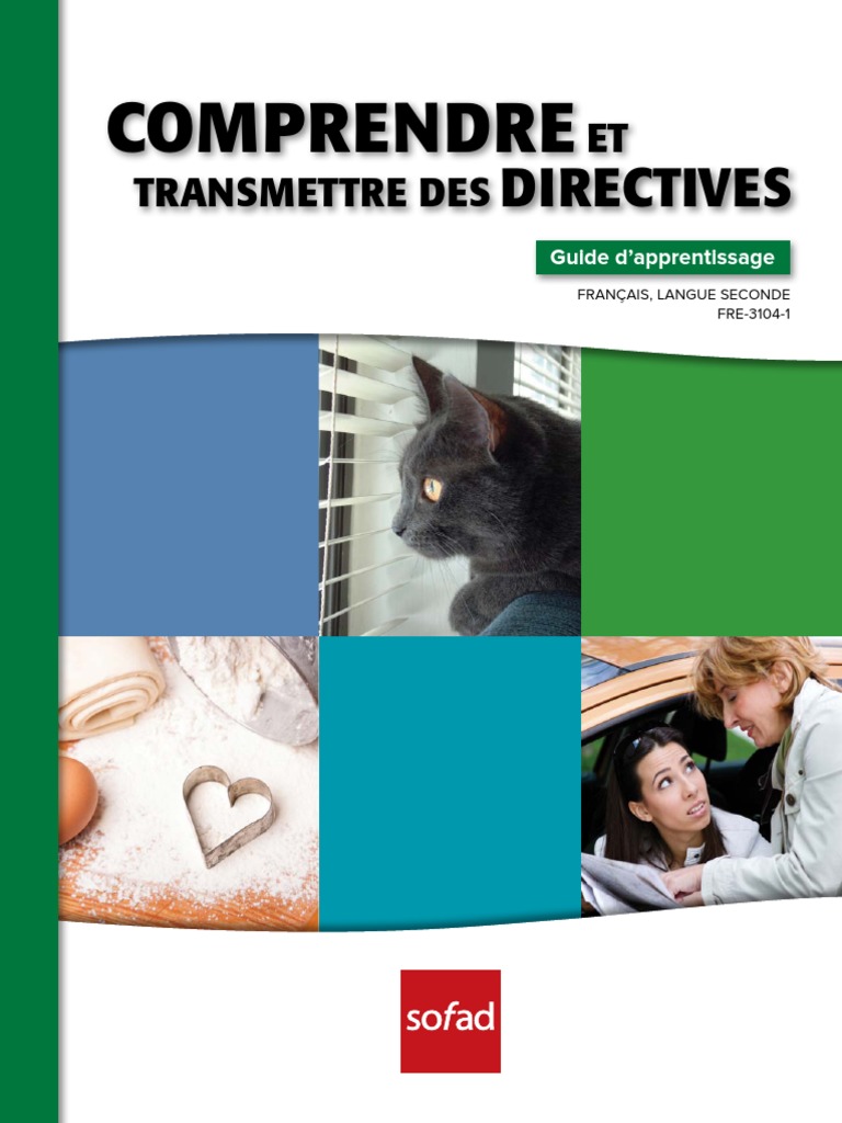 Transmettre des directives en français | PDF | Phrase | Apprentissage