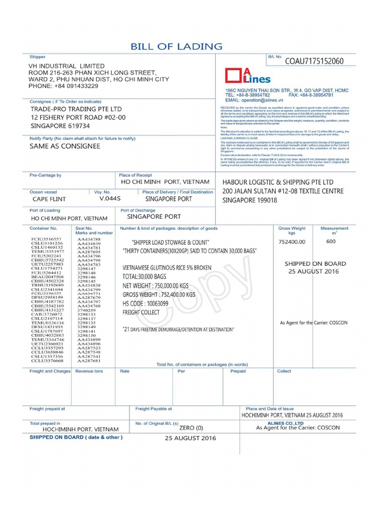 03 Document Export Máº U Pdf